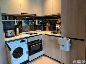 WETLAND SEASONS PARK 3期 7座 - 28NTS – 香港北部都會區