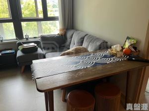 WETLAND SEASONS PARK 3期 7座 - 28NTS – 香港北部都會區