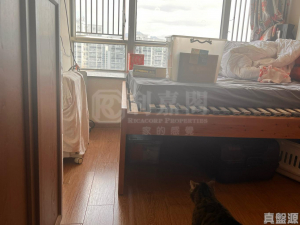 嘉湖山莊 1期 樂湖居 14座 - 28NTS – 香港北部都會區