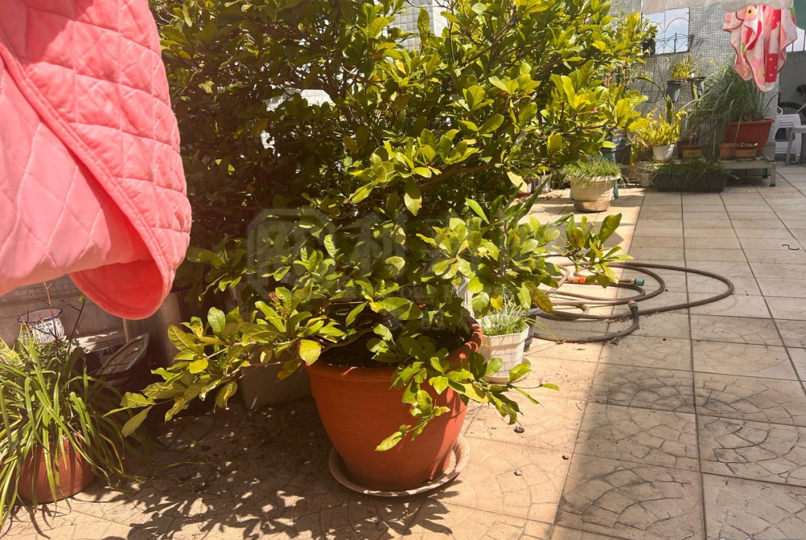 嘉湖山莊 1期 樂湖居 14座 - 28NTS – 香港北部都會區