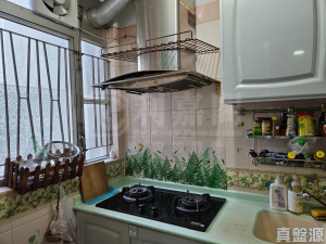 天頌苑 頌棋閣 (O座) - 28NTS – 香港北部都會區