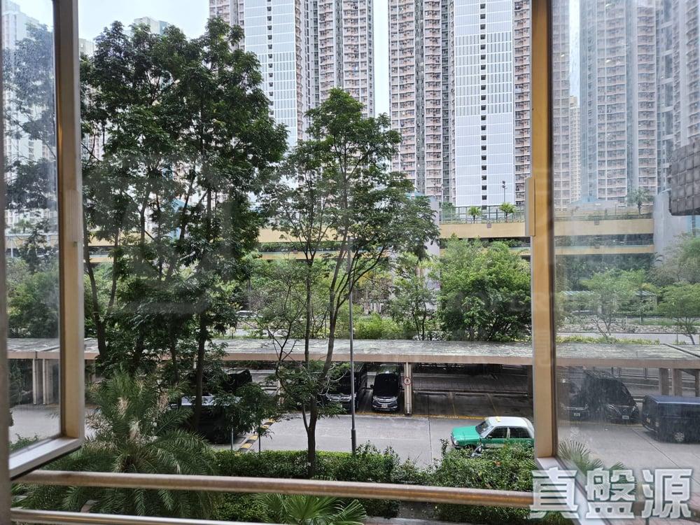 天頌苑 頌棋閣 (O座) - 28NTS – 香港北部都會區