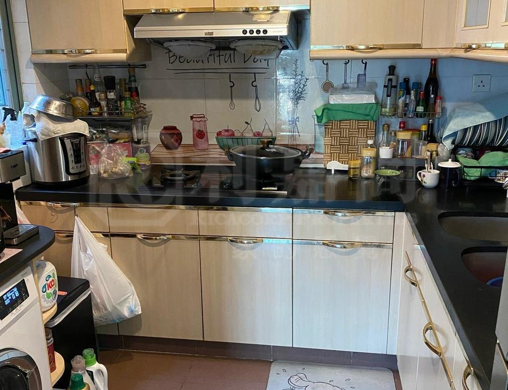 柏麗豪園 1座 - 28NTS – 香港北部都會區