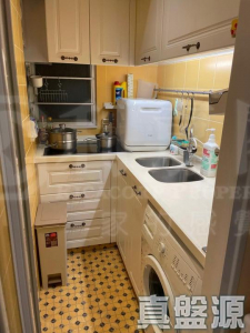 寶星中心 A座 - 28NTS – 香港北部都會區