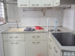 嘉湖山莊 3期 翠湖居 6座 - 28NTS – 香港北部都會區