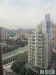 東威閣 - 28NTS – 香港北部都會區