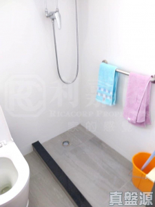 東威閣 - 28NTS – 香港北部都會區