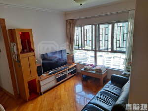 偉景花園 2座 - 28NTS – 香港北部都會區