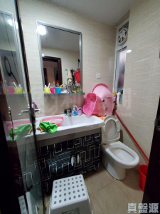 青泰苑 寶泰閣 (B座) - 28NTS – 香港北部都會區