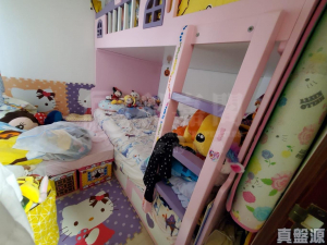 青泰苑 寶泰閣 (B座) - 28NTS – 香港北部都會區