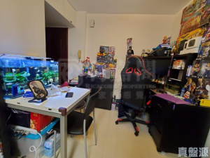 青泰苑 寶泰閣 (B座) - 28NTS – 香港北部都會區