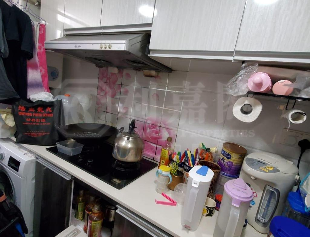 青泰苑 寶泰閣 (B座) - 28NTS – 香港北部都會區