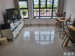 金莎花園 3座 - 28NTS – 香港北部都會區