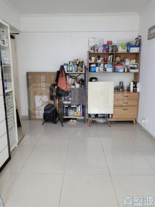 金莎花園 3座 - 28NTS – 香港北部都會區