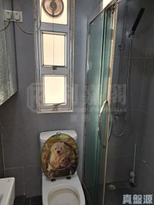 麗寶大廈 - 28NTS – 香港北部都會區