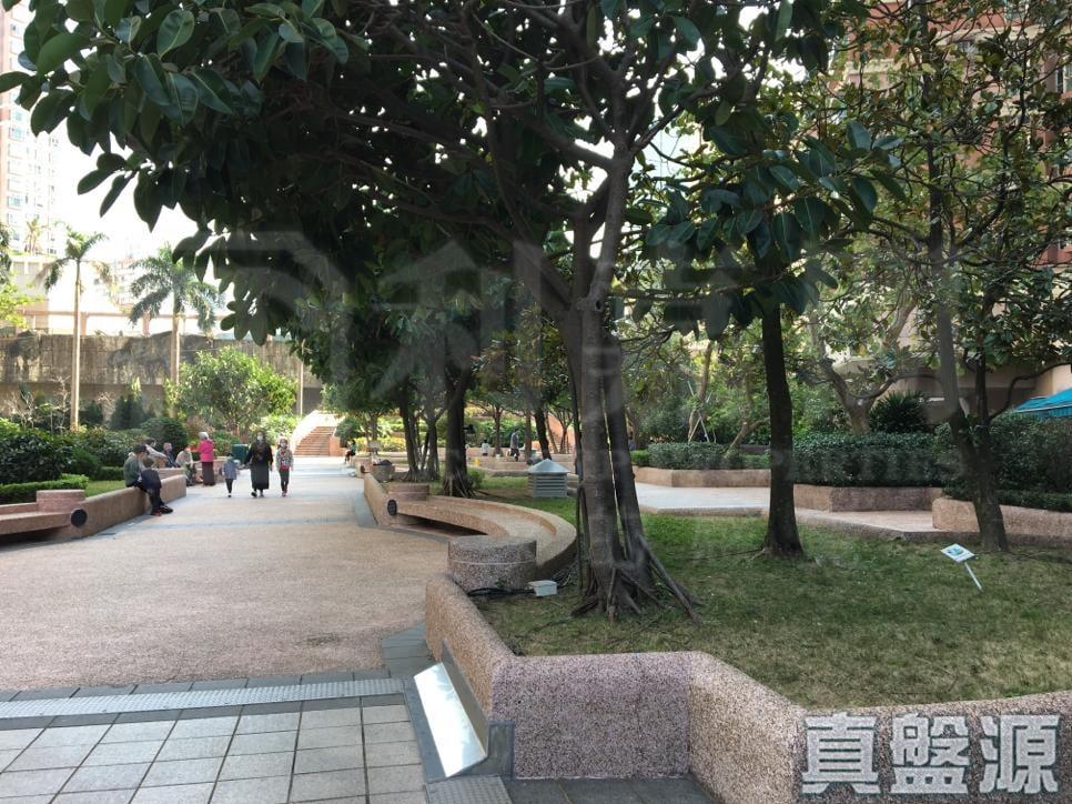 愉景新城 2期 6座 - 28NTS – 香港北部都會區