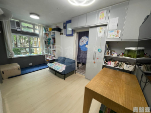 青泰苑 恆泰閣 (C座) - 28NTS – 香港北部都會區