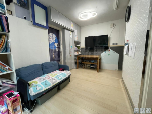 青泰苑 恆泰閣 (C座) - 28NTS – 香港北部都會區