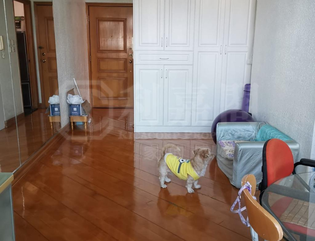 卓爾居 1期 2座 - 28NTS – 香港北部都會區