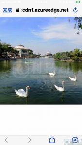 錦繡花園 荔枝南路 - 28NTS – 香港北部都會區