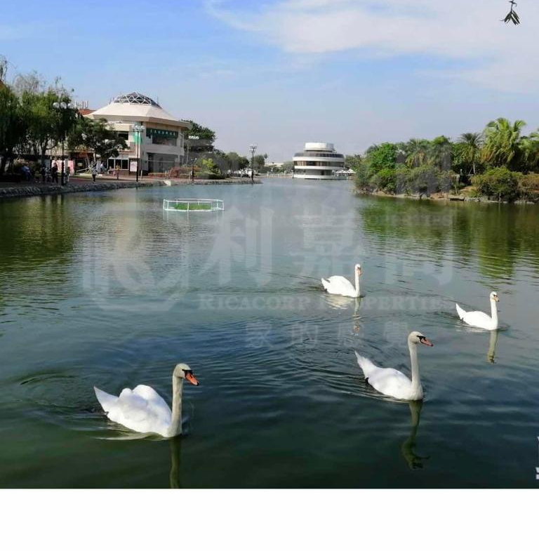 錦繡花園 荔枝南路 - 28NTS – 香港北部都會區