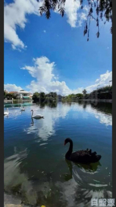 錦繡花園 荔枝南路 - 28NTS – 香港北部都會區