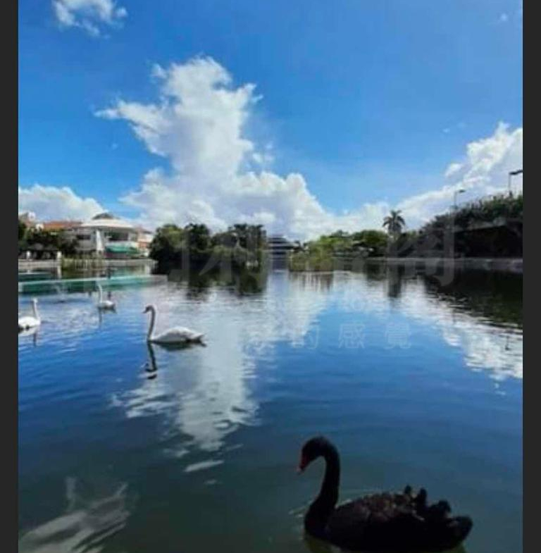 錦繡花園 荔枝南路 - 28NTS – 香港北部都會區