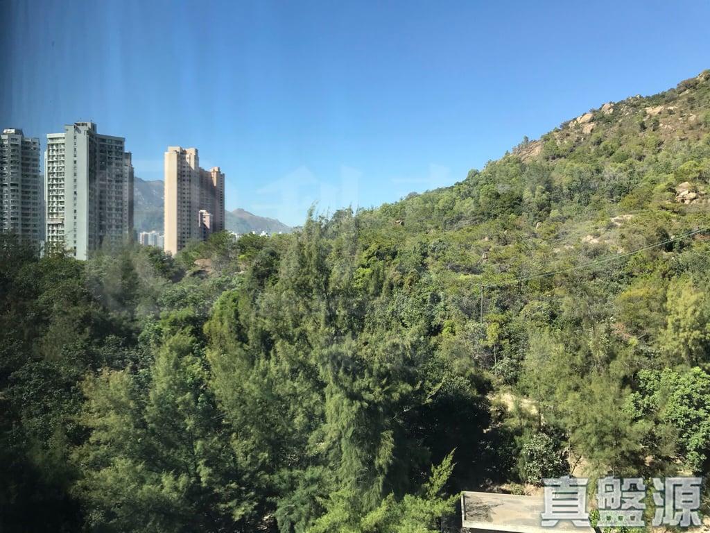 滿名山 滿庭 5座 - 28NTS – 香港北部都會區