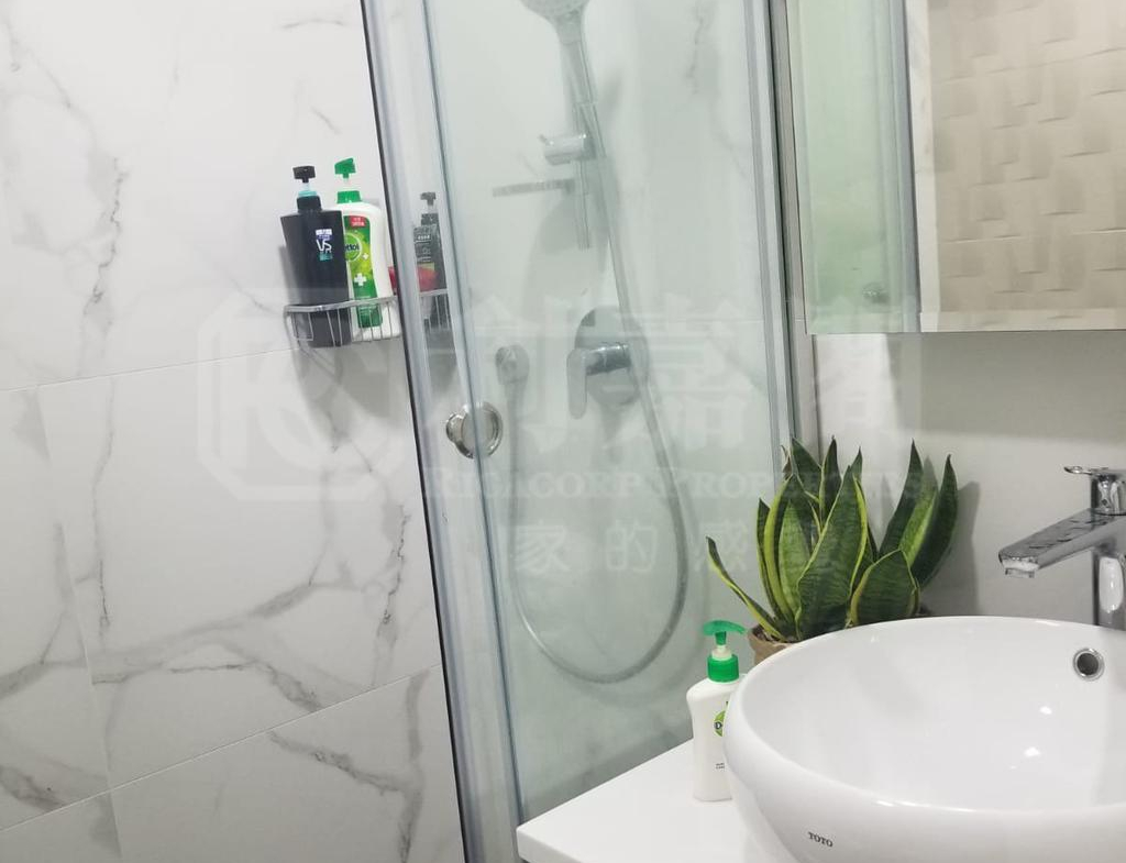 漣山 CEDAR I - 28NTS – 香港北部都會區