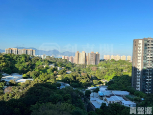 OMA OMA 1B座 - 28NTS – 香港北部都會區