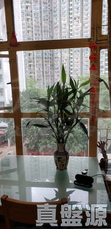 天祐苑 祐寧閣 (B座) - 28NTS – 香港北部都會區