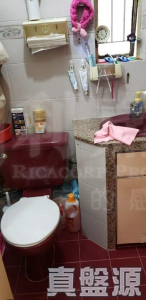 天祐苑 祐寧閣 (B座) - 28NTS – 香港北部都會區