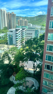 疊茵庭 9座 - 28NTS – 香港北部都會區