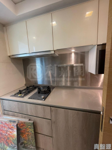 峻巒 1A期 PARK YOHO 10B座 - 28NTS – 香港北部都會區