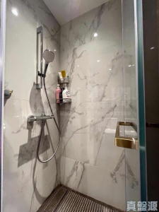 緹岸 1期 2A座 - 28NTS – 香港北部都會區