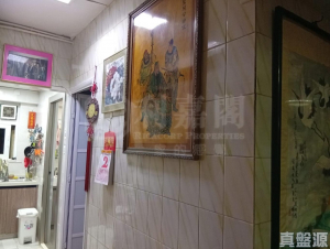 沙咀道254號 - 28NTS – 香港北部都會區