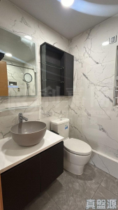 容龍居 1座 - 28NTS – 香港北部都會區