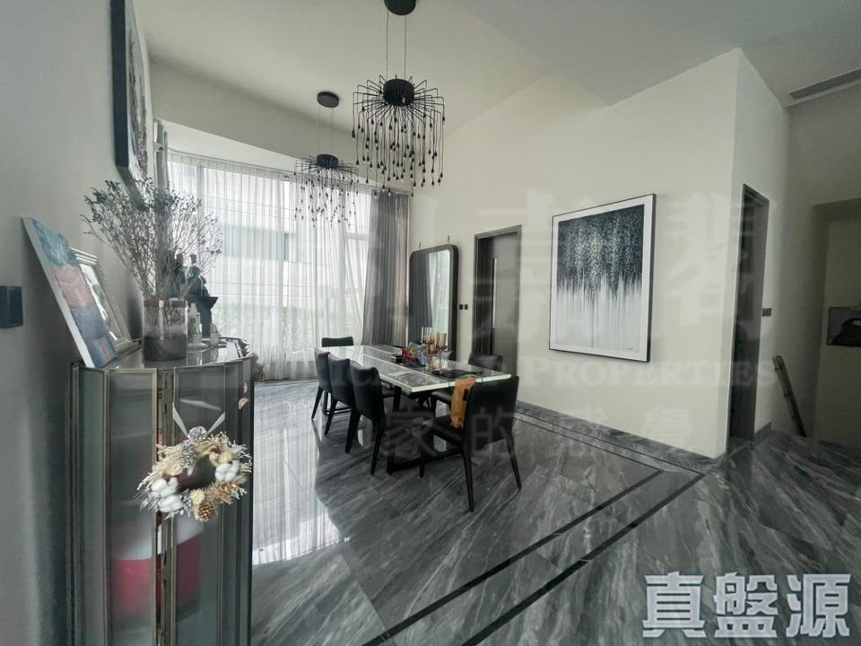 上源 - 28NTS – 香港北部都會區