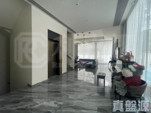 上源 - 28NTS – 香港北部都會區