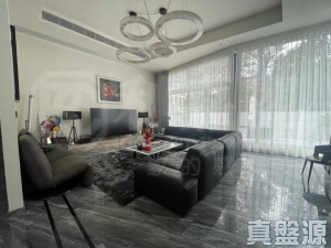 上源 - 28NTS – 香港北部都會區