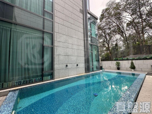 上源 - 28NTS – 香港北部都會區