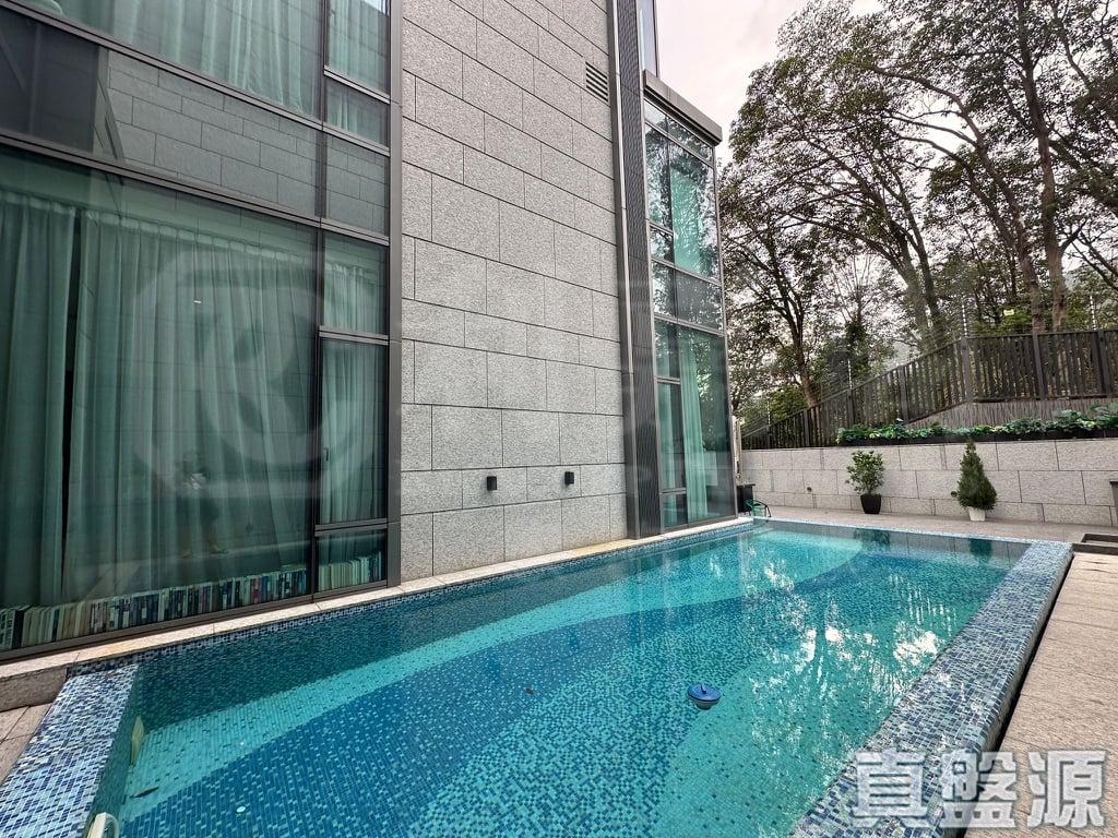 上源 - 28NTS – 香港北部都會區