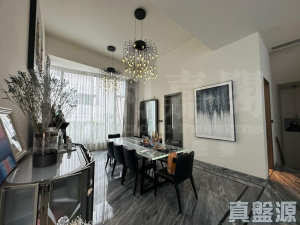 上源 - 28NTS – 香港北部都會區