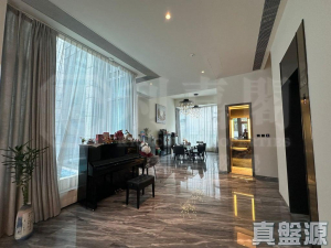 上源 - 28NTS – 香港北部都會區