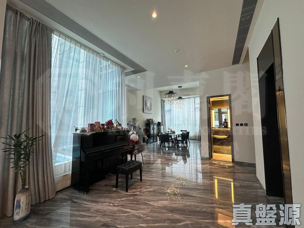 上源 - 28NTS – 香港北部都會區