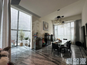 上源 - 28NTS – 香港北部都會區