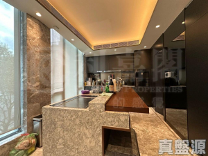 上源 - 28NTS – 香港北部都會區