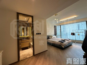 上源 - 28NTS – 香港北部都會區