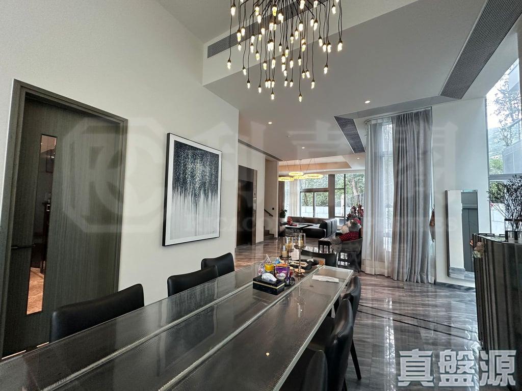 上源 - 28NTS – 香港北部都會區