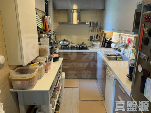 17591932897436e320-0ff7-45a7-b104-6b9dd0d40f98.jpeg 珀麗灣 2期 3座 - 28NTS – 香港北部都會區